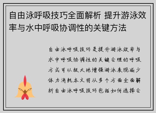 自由泳呼吸技巧全面解析 提升游泳效率与水中呼吸协调性的关键方法