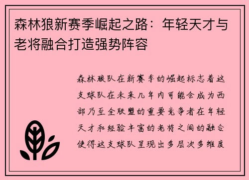 森林狼新赛季崛起之路：年轻天才与老将融合打造强势阵容